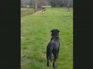 MVI_4281-4282-4283 Porto Appolon