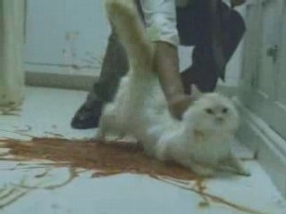 Don_tjudgetooquickly3