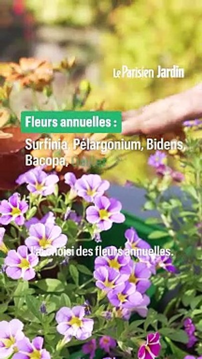 Comment composer une jolie jardinière fleurie pour son balcon ?