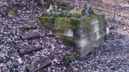 Die Dunkelgräfin - Nigrum Planetae