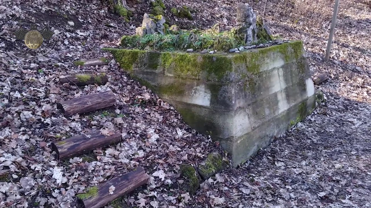 Die dunkelgräfin - nigrum planetae