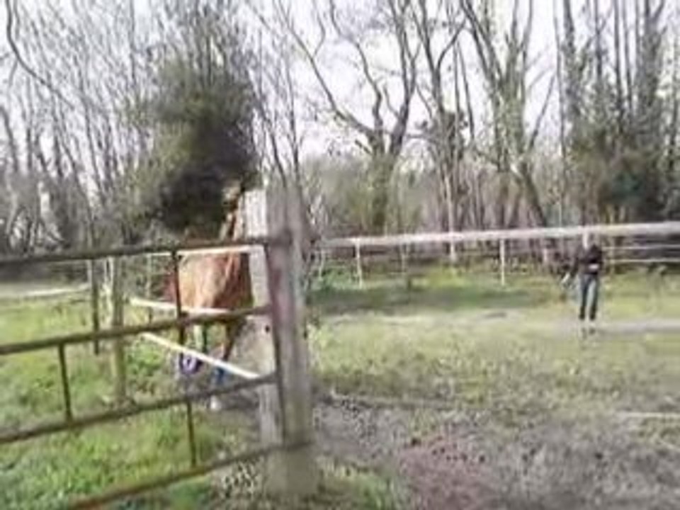 MOV02323