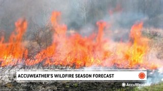 AccuWeather's 2024 wildfire season forecast