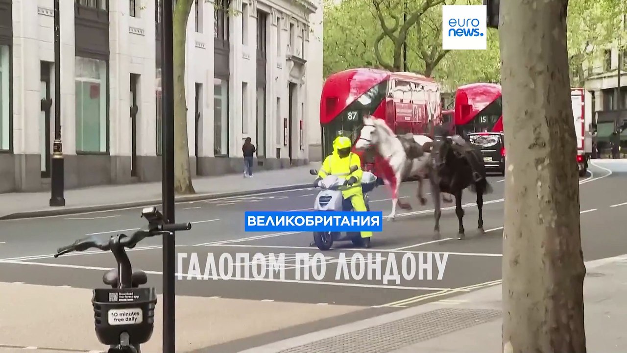 Галопом по Лондону: кавалерийские лошади отправ...