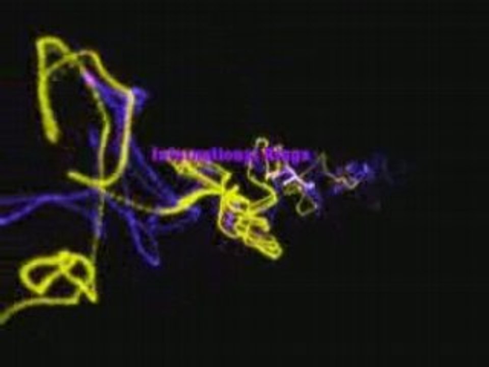 Statuz feat. Smack - International Kingz