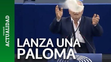 Surrealista total: vean lo que hizo un eurodiputado en el estrado