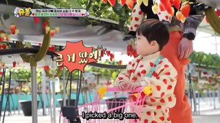 [ENG] The Return of Superman EP.529