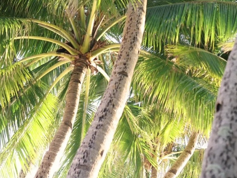 Warnung vor extremhitze in beliebter urlaubsregion