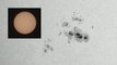 Large Sunspot Seen By NASA Spacecraft And Mars Rover