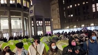NYU Protesters Form Human Chain Around Tents Before Police Move In