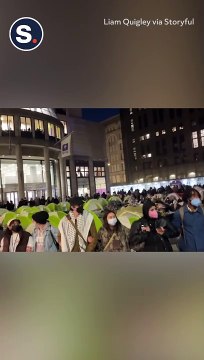 NYU Protesters Form Human Chain Around Tents Before Police Move In
