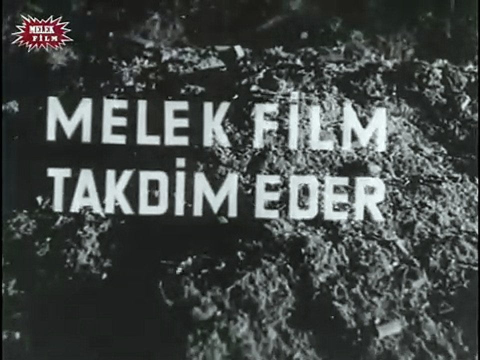 Sokakların Kanunu