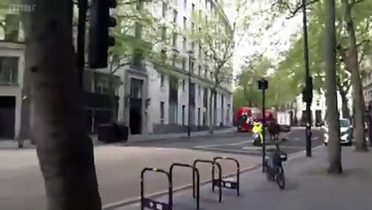 Kaçak atlar Londra'yı birbirine kattı: 1'i at 5 yaralı!