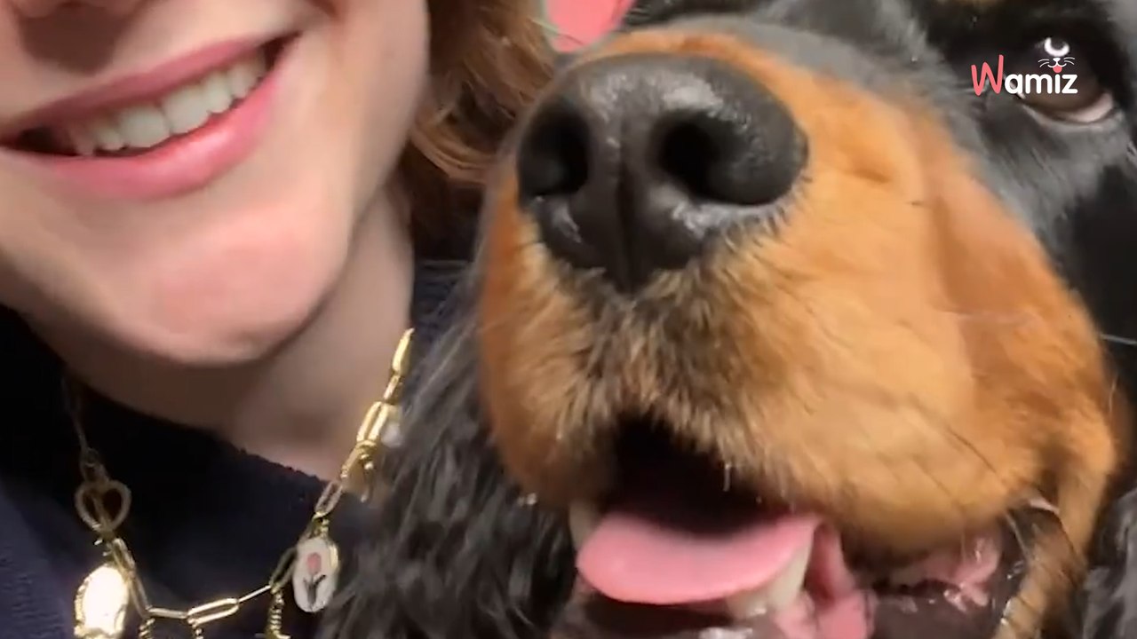 Découvrez comment les emballages @purina.france sont transformés en pièces uniques et écologiques, offrant une seconde vie pleine de style et d’originalité.