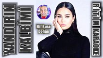 Yandırdın Kalbimi - Elif Buse Doğan