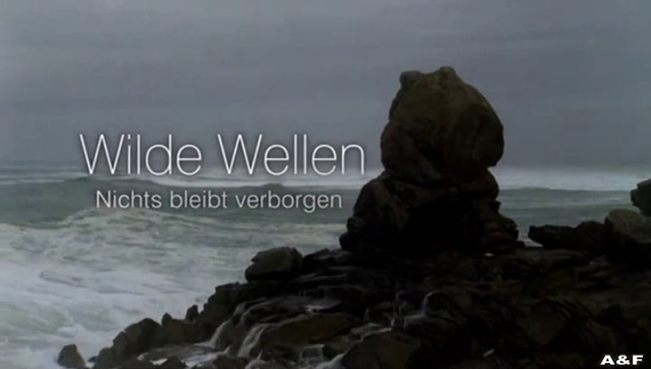 Wilde Wellen -02- Der Verdacht
