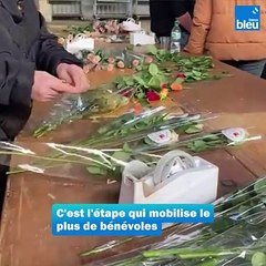 Une rose un espoir : 25.000 roses emballées à Coin-sur-Seille avant le grand week-end de distribution