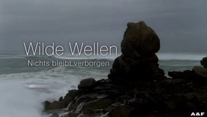 Wilde Wellen -03- Der Sturz: Spannende Abenteuer und unerwartete Wendungen 🌊
