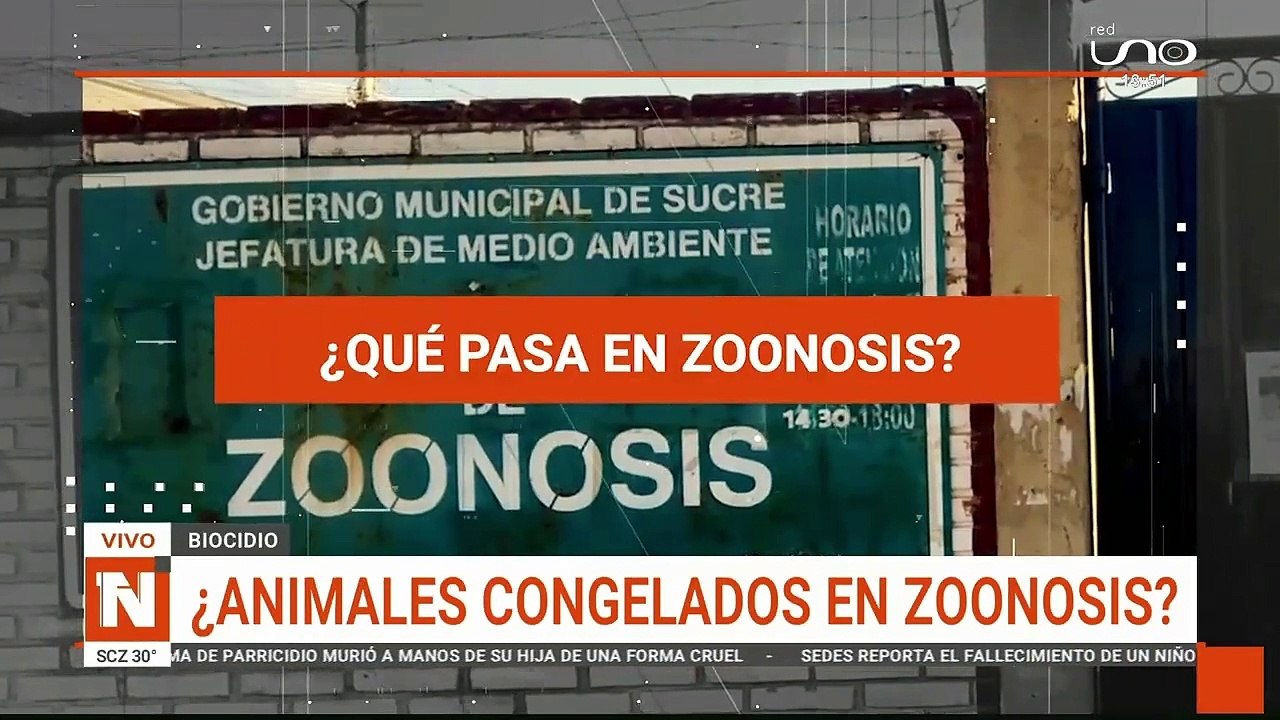 Animales congelados en zoonosis