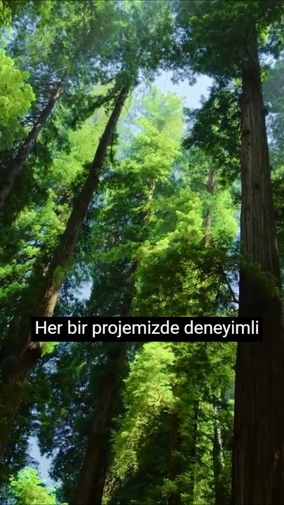 Niximera - Bu iş böyle yapılır