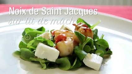 Recette des noix de saint jacques sur lit de mâche