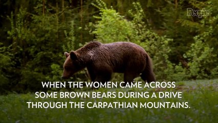 Tourist Mauled After Rolling Down Window to Take Selfie With Bear