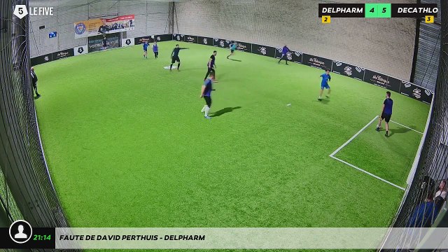 Faute de DAVID PERTHUIS - DELPHARM