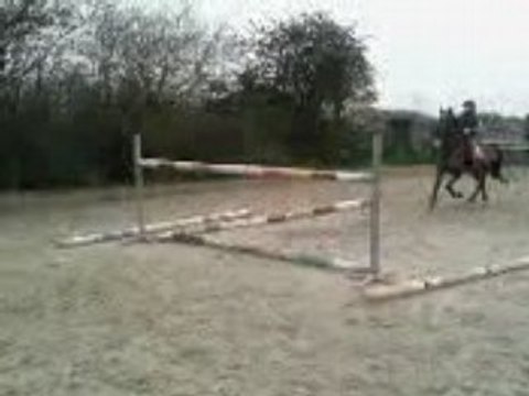 elecktro 1m30 obstacle