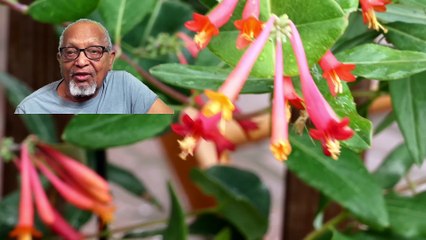 STOP being a financial victim by relatives.