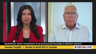 V investment is a bad move, says expert  Canada Tonight