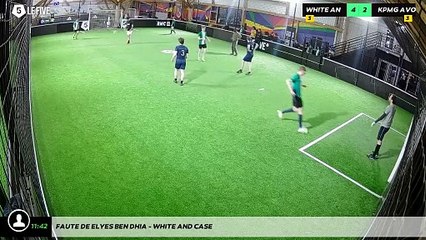 Faute de Elyes BEN DHIA - WHITE AND CASE