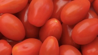 8 Tips for Growing Cherry Tomato Plants That Will Thrive All Season