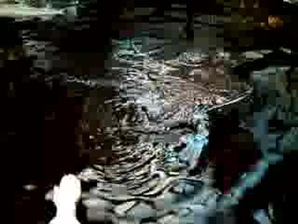 CLIP0079