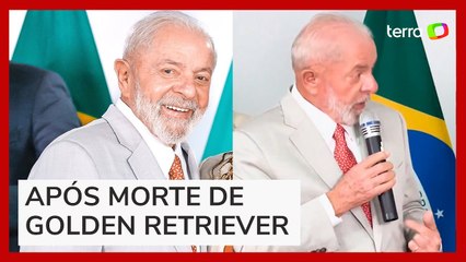 Lula usa gravata em homenagem a Joca e cobra Gol e Anac por morte do cachorro