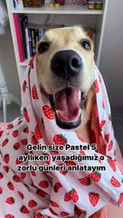 Kısacık ömründe kansere yakalanan “Pastel” ve hikayesi