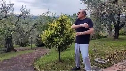 Carlo Verdone presenta il suo migliore amico: «È questo splendido mandarancio»