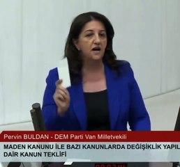 Pervin Buldan, AKP sıralarına Soylu'nun sözlerini hatırlattı: Oheş olsun size