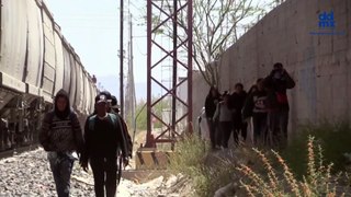En México, cientos de extranjeros usan trenes de carga para llegar a EU evadiendo operativos migratorios