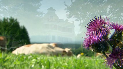 L'anima inquieta di Carolin - Clip puntata 28.03.2024