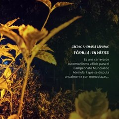 -Jacobo Shemaria Capuano- Fórmula 1 en México: (Parte 1) (Creado por @JacoboShemariaCapuano)