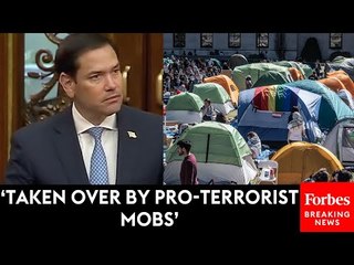'I Never Thought I Would Ever Read That': Rubio Shocked By Antisemitism At Columbia University