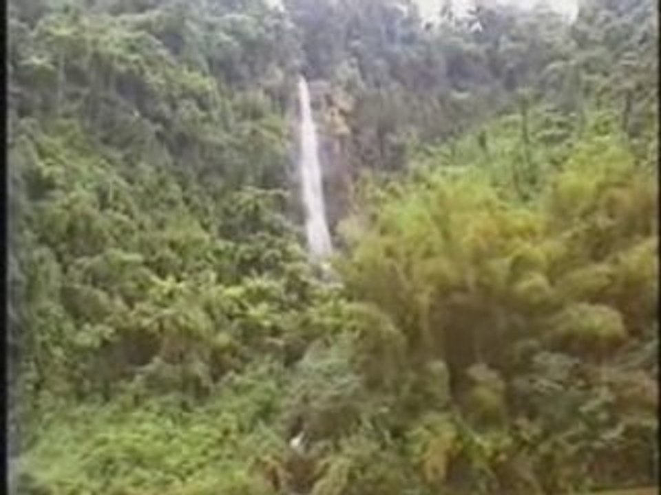 Fidji-Navua-river
