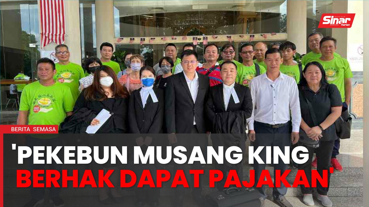 Pekebun musang king di Raub pertimbang fail rayuan