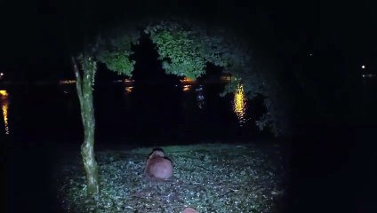 Capivaras ficam às escuras após furto de fios no Lago Municipal