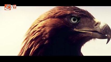 ALP Arsalan Season 1 Episode 43 Urdu Hindi Dubbed Etv facts