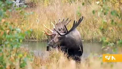 Renewable energy plan in Alaska could disturb thousands of acres of nature