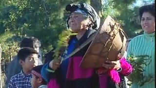 El Despojo (2003) Doc Mapuche Chile
