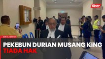 Mahkamah tolak permohonan 186 pekebun durian musang king