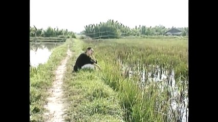 Lá Diêu Bông - Hồng Vân, Thành Lộc, Diễm Quỳnh