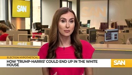 Could the US see a Trump-Harris White House following the 2024 election__Low